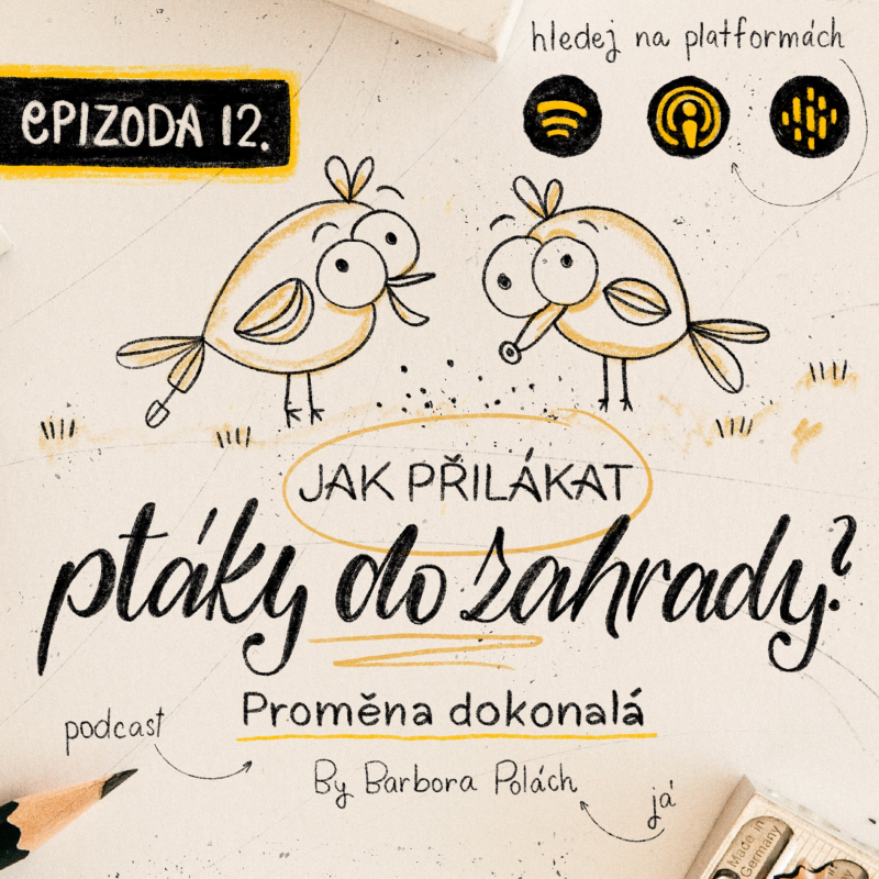 Obrázek epizody #12 Jak přilákat ptáky do zahrady?