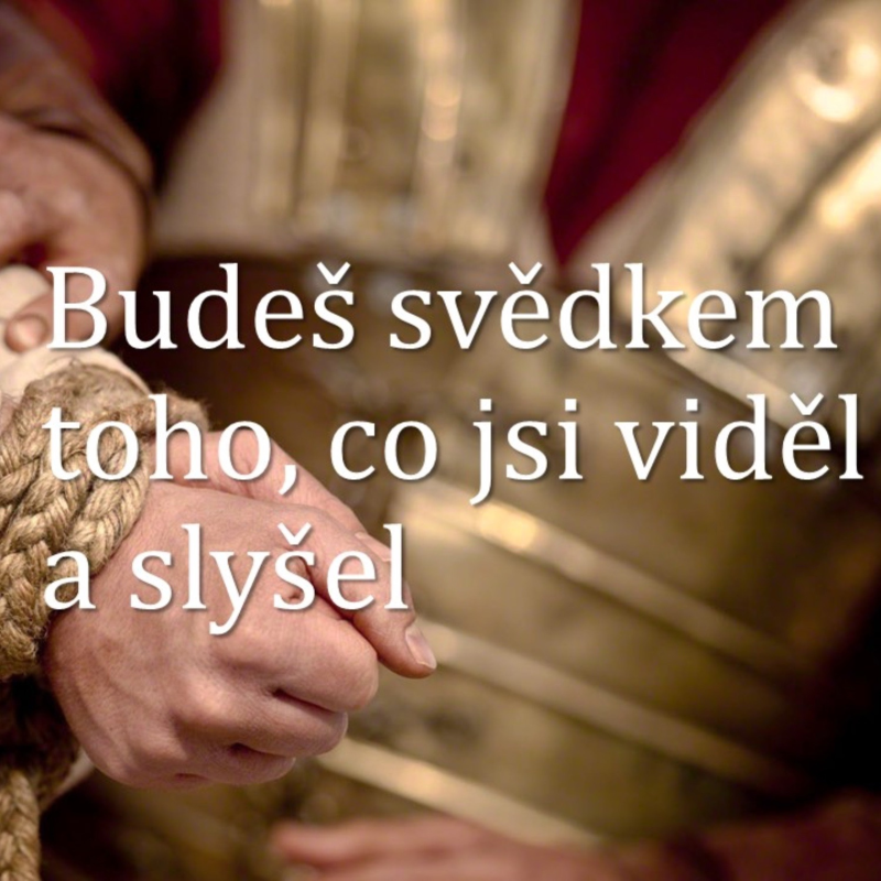 Obrázek epizody Skutky 53: Budeš svědkem toho, co jsi viděl a slyšel - Bohuslav Wojnar (3.12.2017)