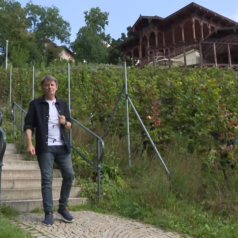 Obrázek epizody Prima Mazlíček: Inzerce 6. díl