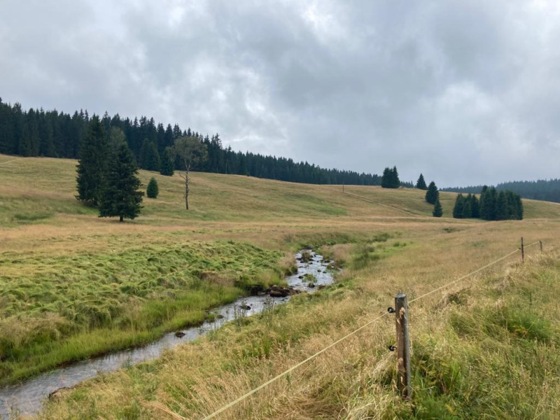 Obrázek epizody Dílo Štěpána Javůrka