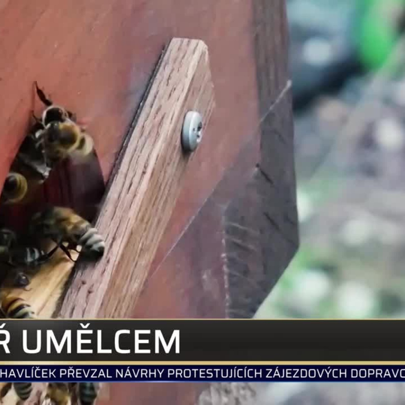 Obrázek epizody SHOWTIME 12.5.2020