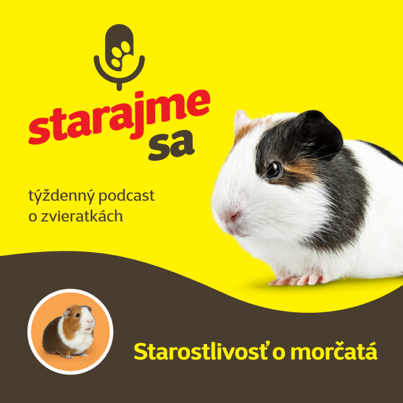 Obrázek epizody Drobné cicavce: Starostlivosť o morčatá