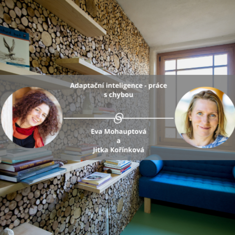 Obrázek epizody Adaptační inteligence - práce s chybou #spokojeneavykonnefirmy