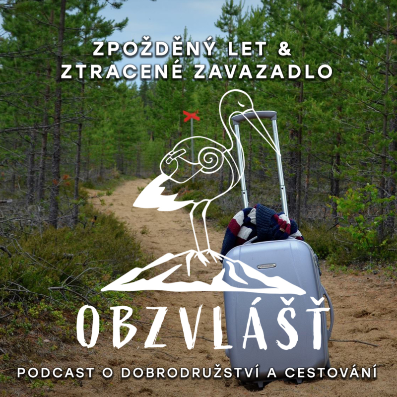Obrázek epizody 022 ZPOŽDĚNÝ LET NEBO ZTRACENÉ ZAVAZADLO? : Co dělat, když se Vám přihodí taková patálie?