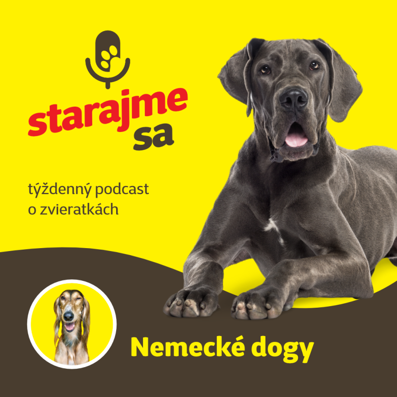 Obrázek epizody Psy: Nemecké dogy