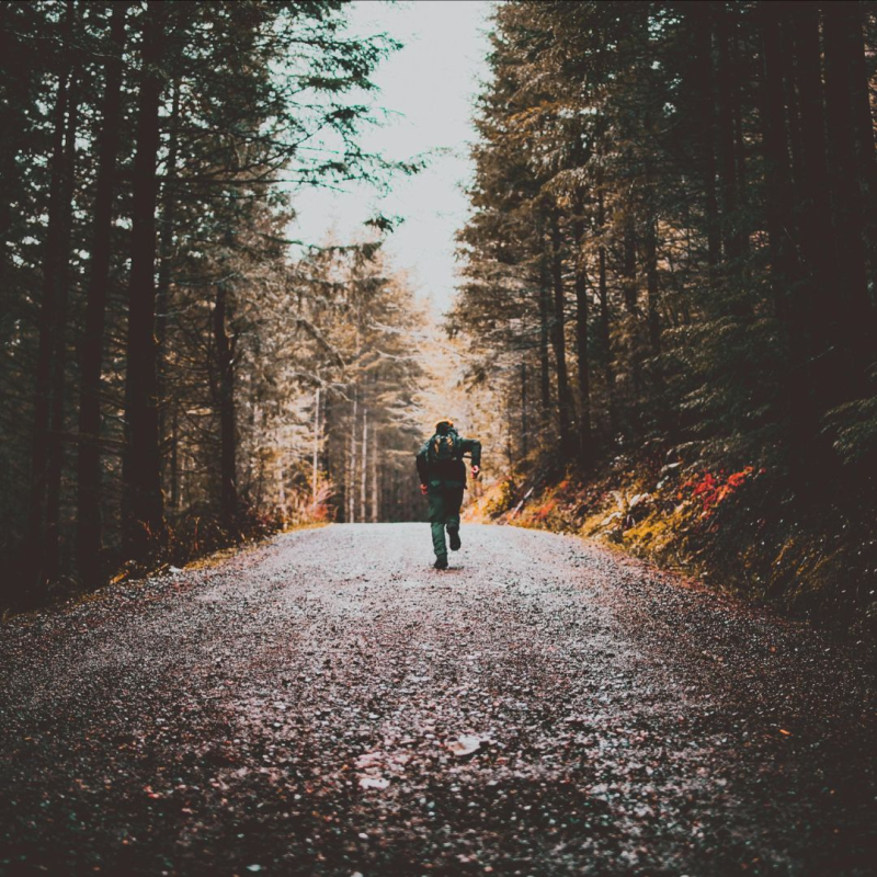 Obrázek epizody Vlastní posun a zvyky