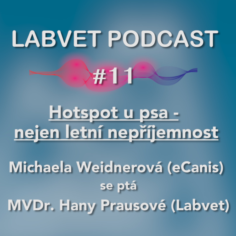 Obrázek epizody Hotspoty