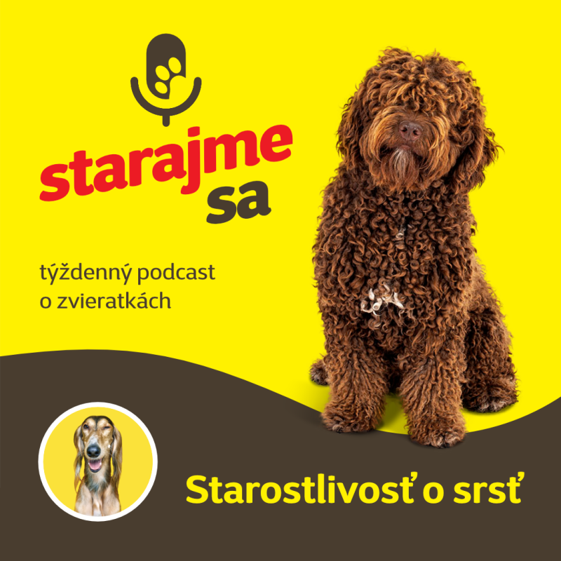 Obrázek epizody Psy: Starostlivosť o srsť