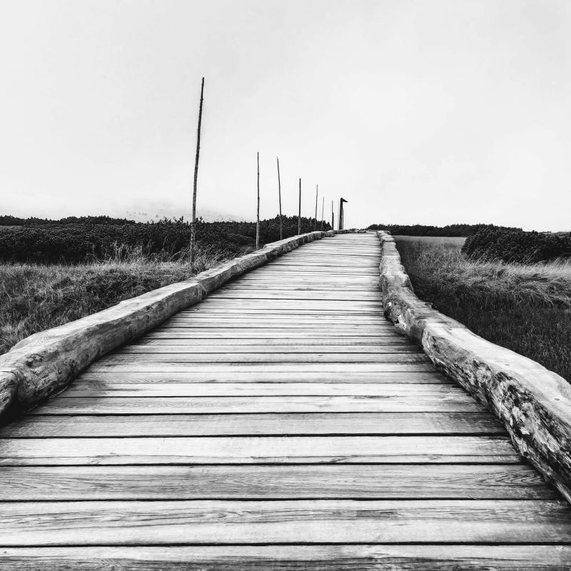 Obrázek epizody RadioB - Osudová Pustina 12_08_2021