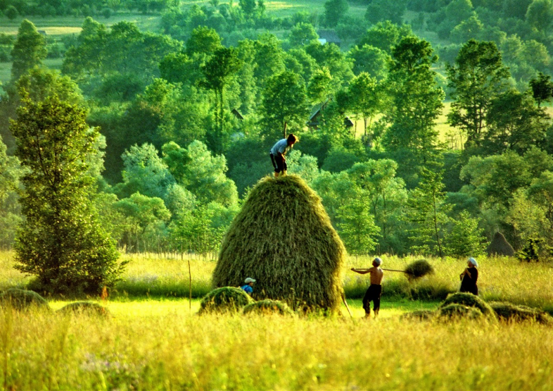 Obrázek epizody Agroekologie: farmář ve středu rozhodovacích procesů