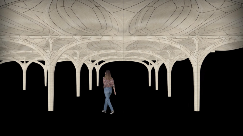 Obrázek epizody The natural building blocks of sustainable architecture | Michael Green