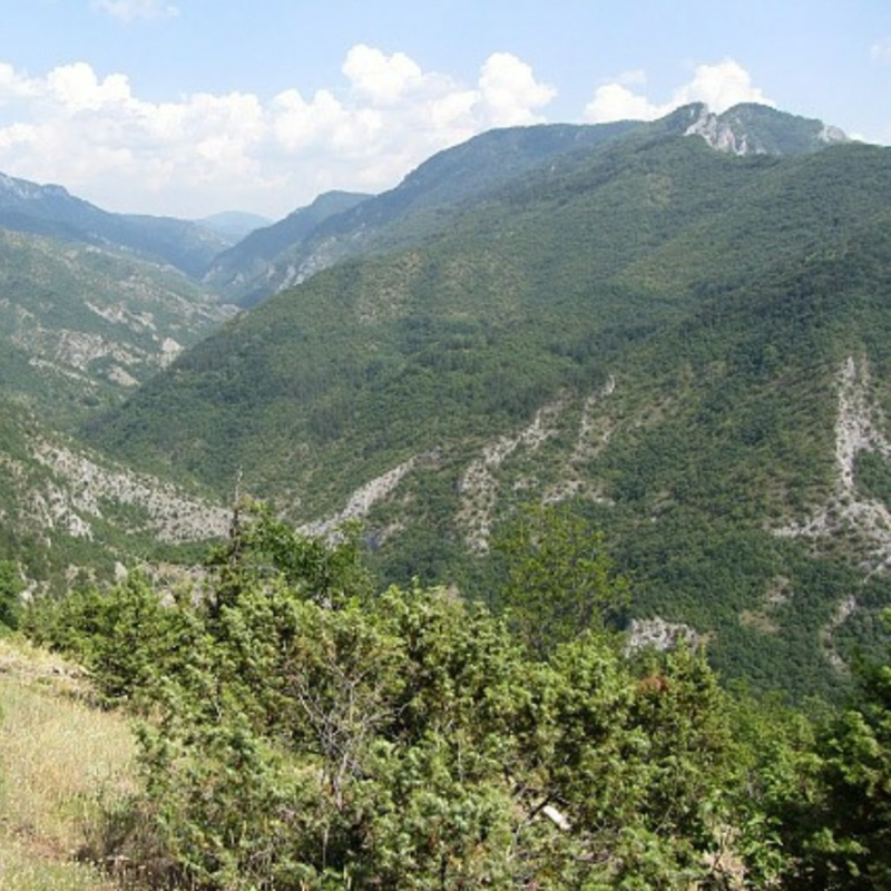 Obrázek epizody #02 Nečekané čajové odhalení v Západních Rodopech