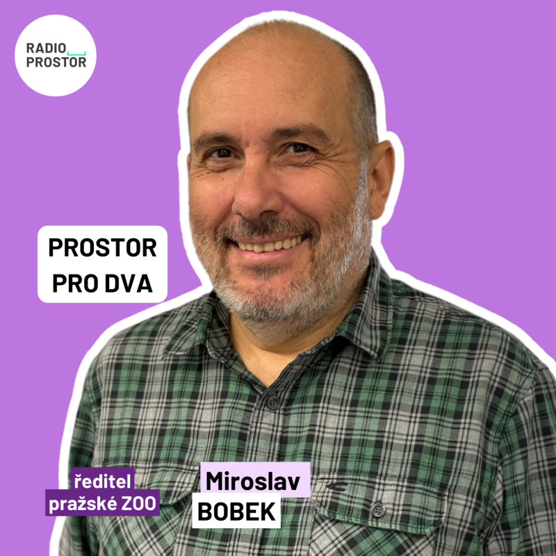 Obrázek epizody Ředitel Zoo Praha: Naším symbolem jsou koně Převalského, ale přijďte se podívat v devět ráno na luskouny!