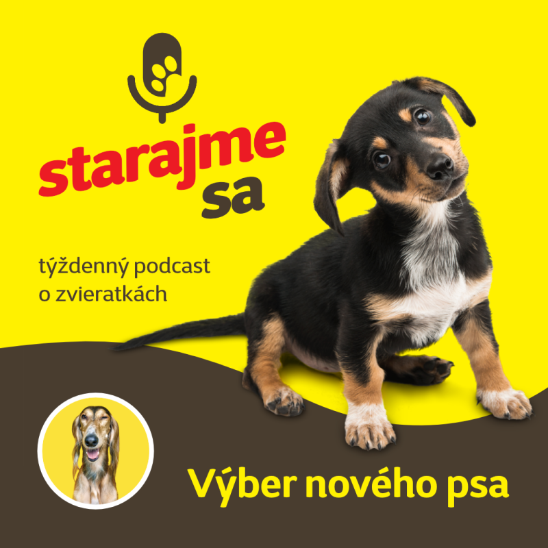 Obrázek epizody Psy: Výber nového psa