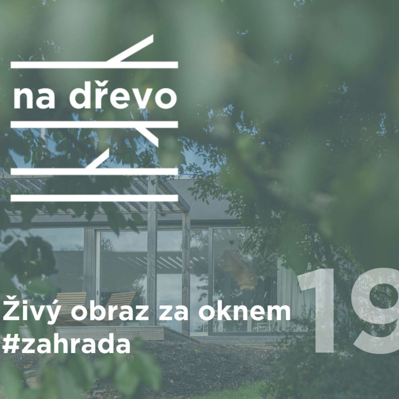 Obrázek epizody ŽIVÝ OBRAZ ZA OKNEM #zahrada #19