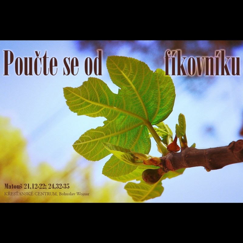 Obrázek epizody Poučte se od fíkovníku - Bohuslav Wojnar (3.2.2019)