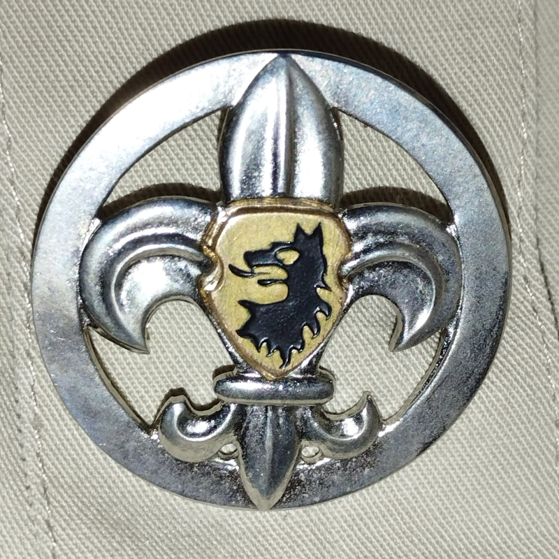 Obrázek epizody 54. Výchova k vůdcovství