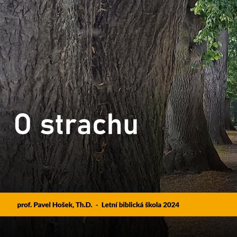 Obrázek epizody O strachu - Pavel Hošek