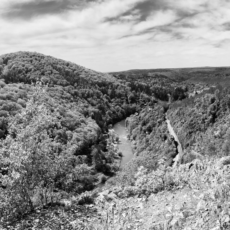 Obrázek epizody David Vopřada: Třeštibok