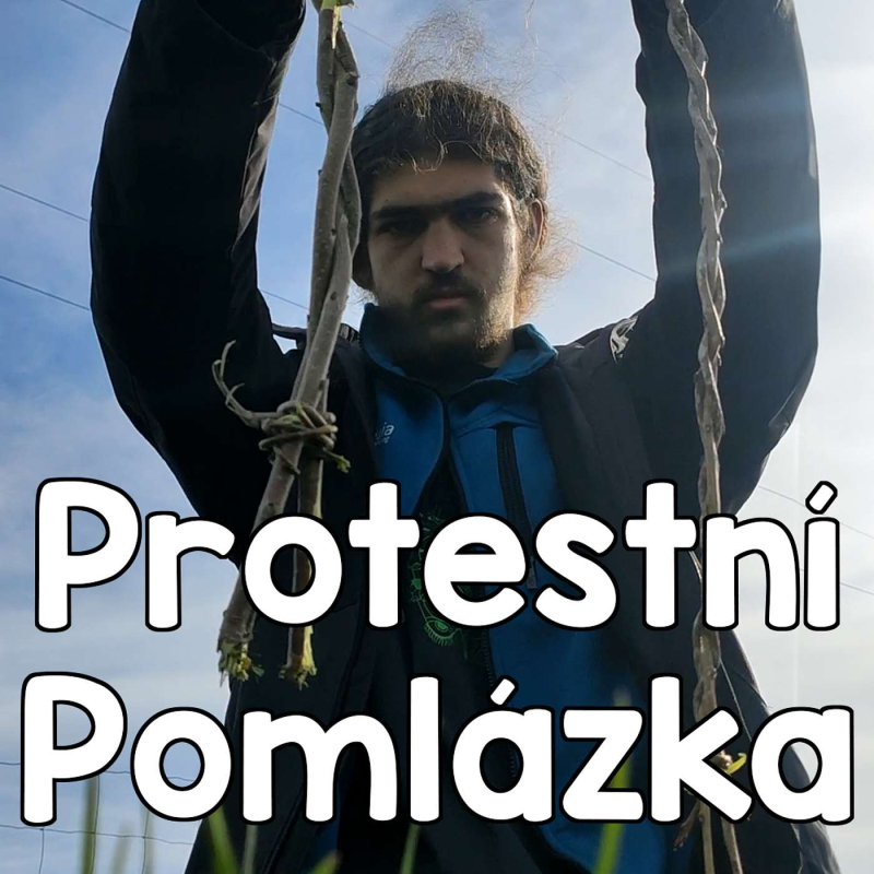 Obrázek epizody Protestní pomlázka