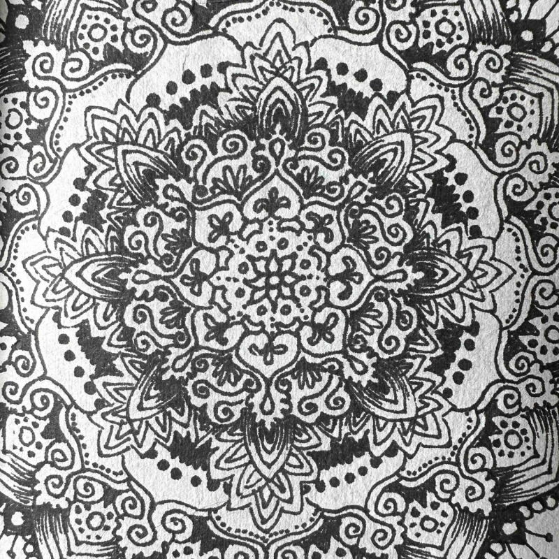 Obrázek epizody 13 - O guru purnima, tibetské kauze a významu Dalajlámy