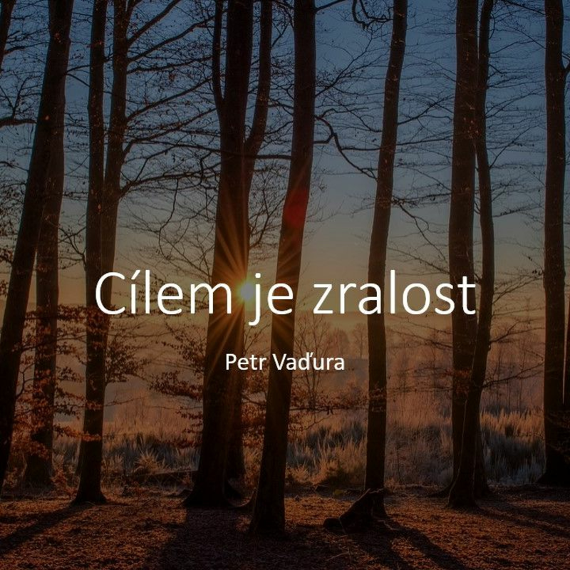 Obrázek epizody Cílem je zralost - Petr Vaďura