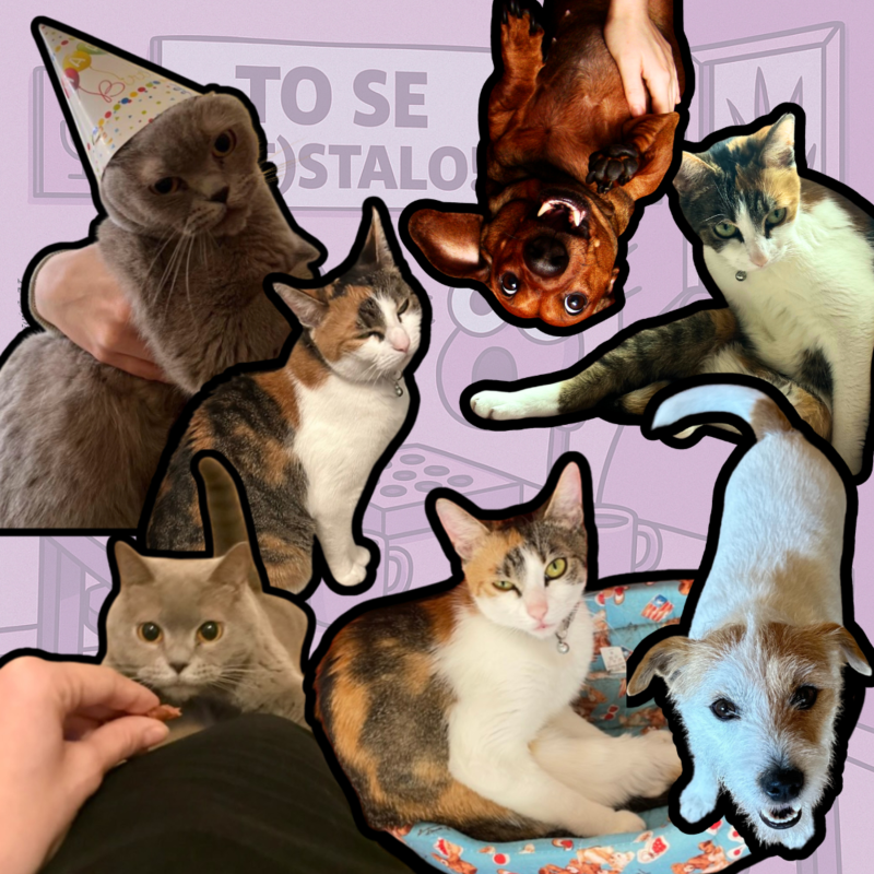 Obrázek epizody Život s mazlíky: Chaos v chlupatém balení