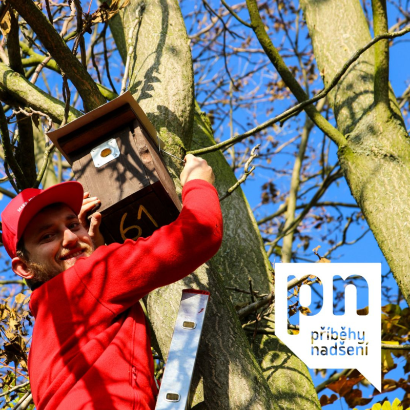 Obrázek epizody 18. Budka jako ptačí domov