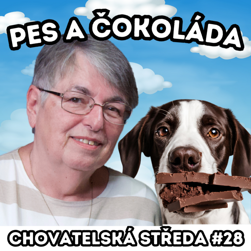Obrázek epizody 🐶🍫 PES a ČOKOLÁDA 🍫🐶 | Chovatelská středa #28