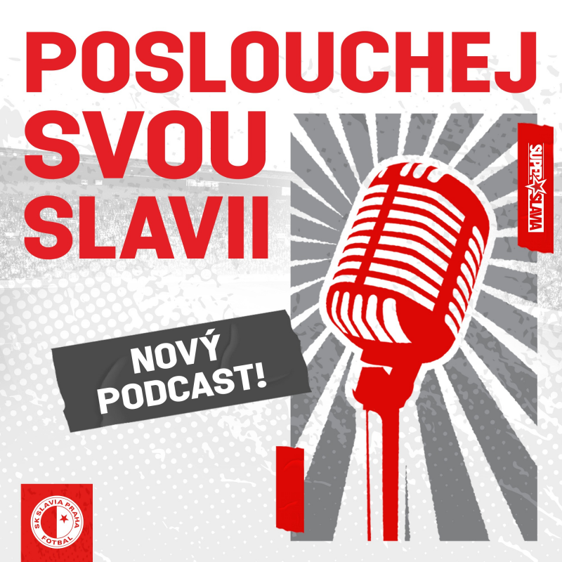 Obrázek epizody Slávistický podcast #1 - Pavel Řehák, Leoš Mareš, mládež, Na slovíčko