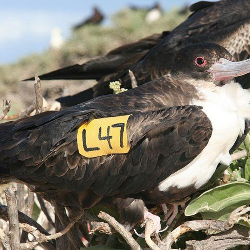 Obrázek epizody There and Back Again