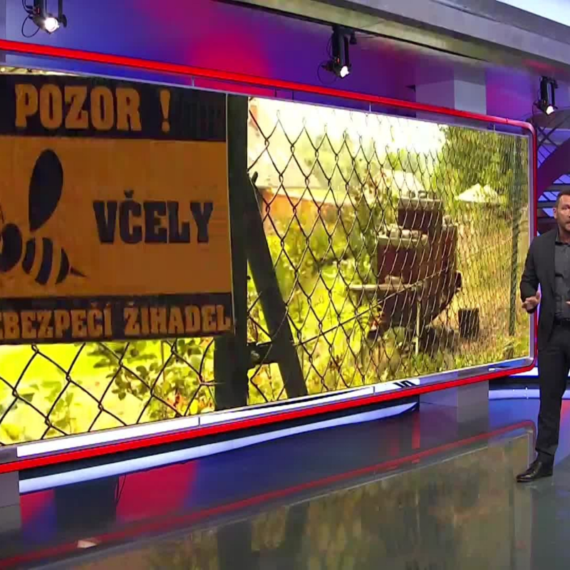 Obrázek epizody Pachatel zaútočil na včely