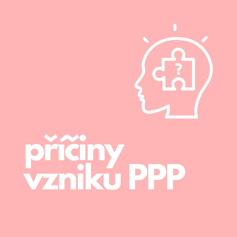 Obrázek epizody 18. Příčiny vzniku PPP