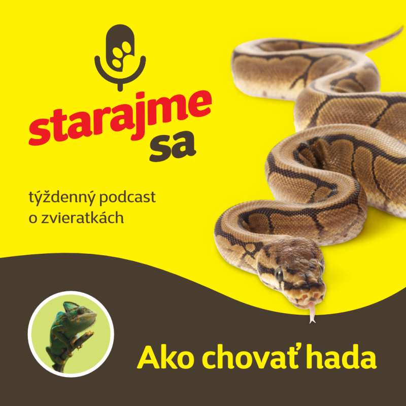 Obrázek epizody Teraristika: Ako chovať hada