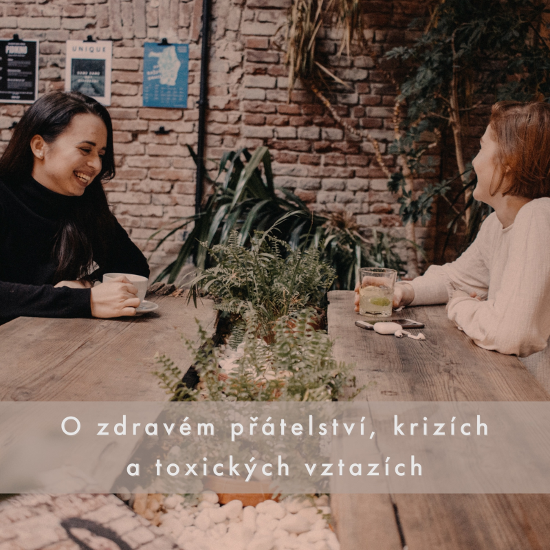 Obrázek epizody #8 O zdravém přátelství, krizích a toxických vztazích