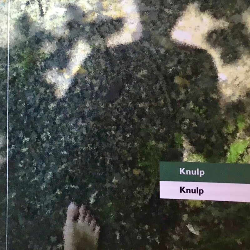 Obrázek epizody Knulp