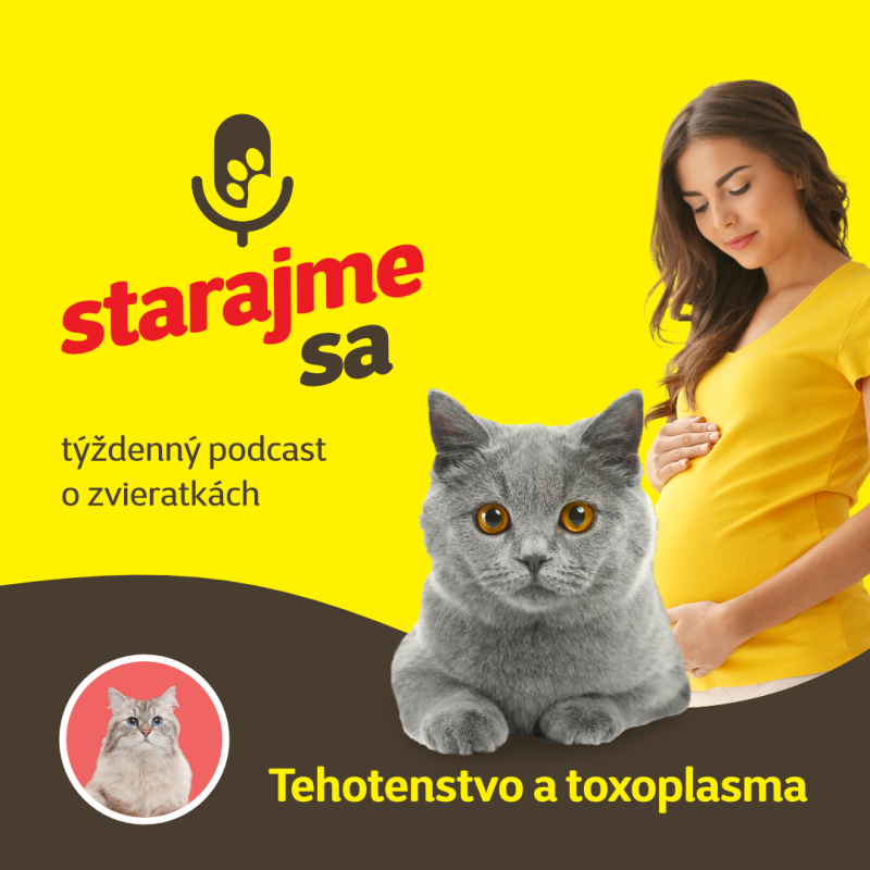 Obrázek epizody Mačky: Tehotenstvo a toxoplasma