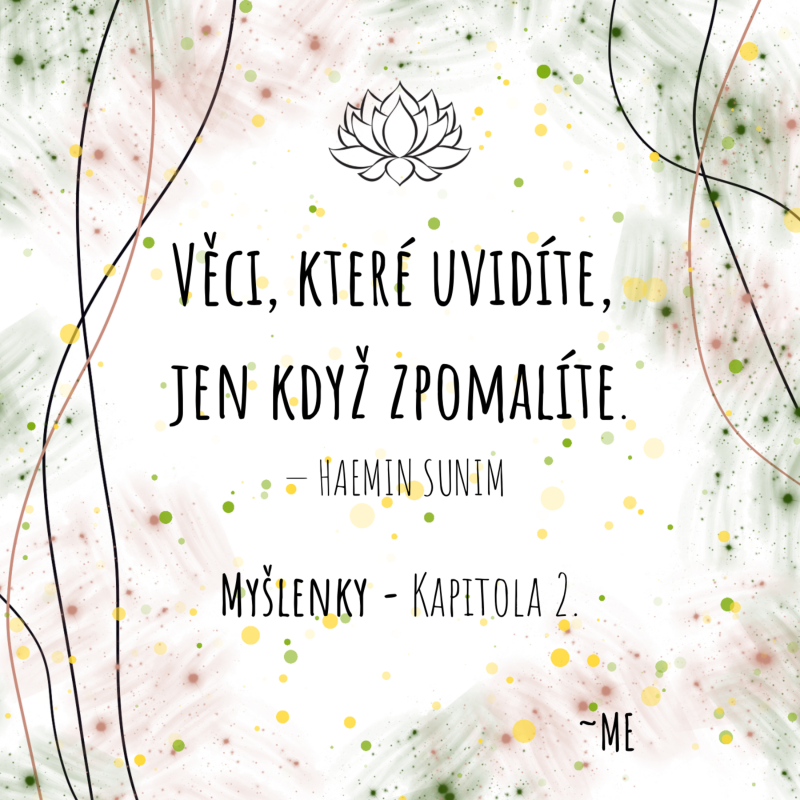 Obrázek epizody MY~ŠLENKY - Kapitola 2. - Chyby v nás, zrcadlení, investice času.