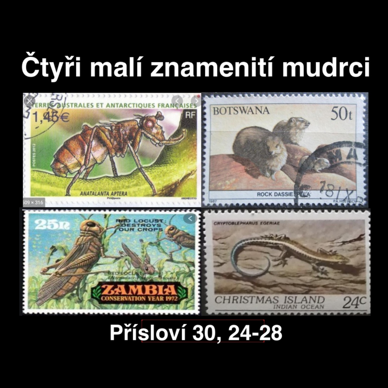 Obrázek epizody Čtyři malí znamenití mudrci - Bogdan Cichy (13.6.2021)