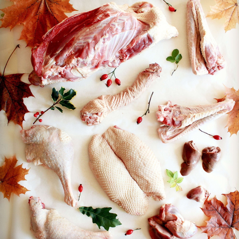 Obrázek epizody Svatý Martin: 2021