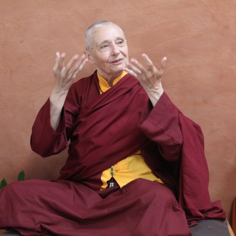 Obrázek epizody Pár slov o egu - Džecünma Tändzin Palmo