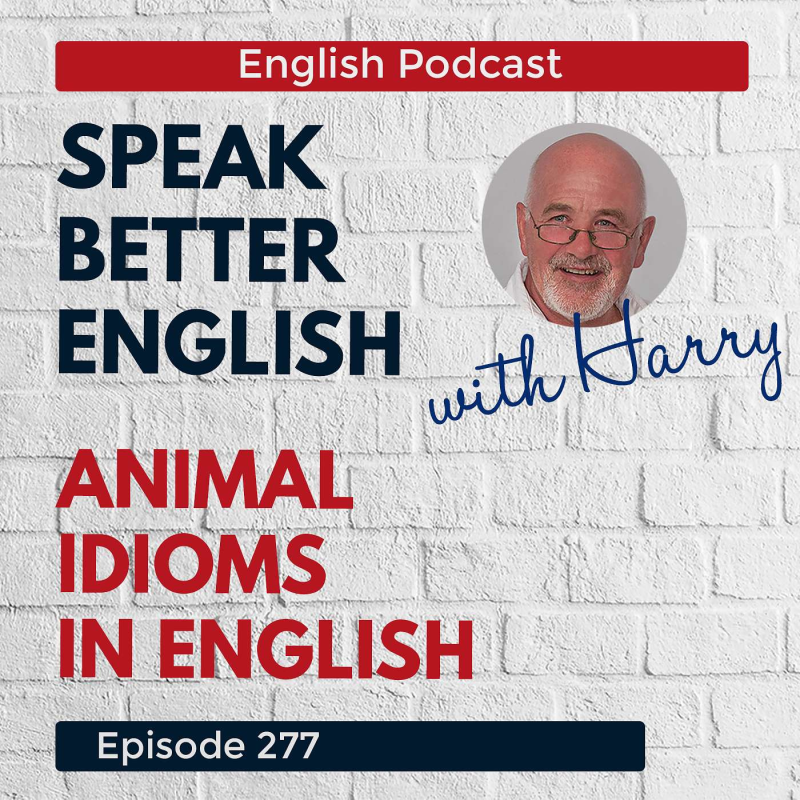 Obrázek epizody Speak Better English with Harry | Episode 277