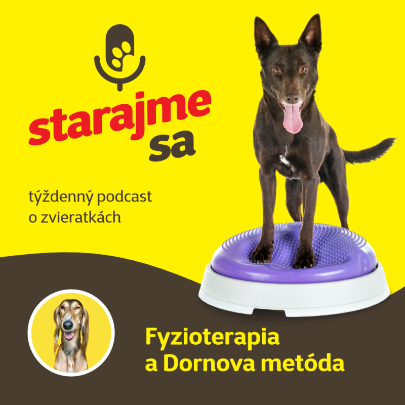 Obrázek epizody Psy: Fyzioterapia a Dornova metóda