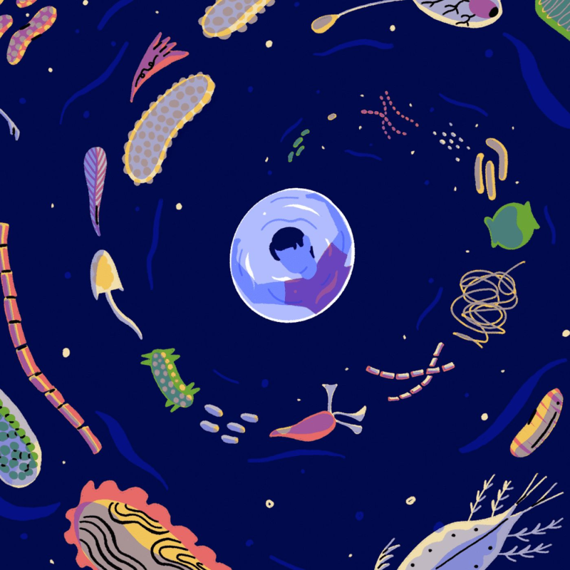 Obrázek epizody Life in a Barrel