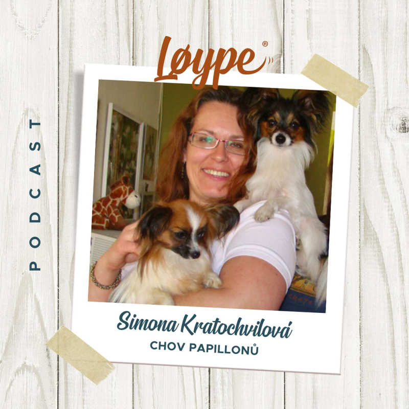 Obrázek epizody 97 | Chov papillonů | Simona Kratochvílová
