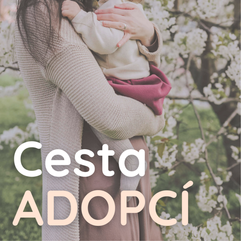 Obrázek epizody 09 | Cesta adopcí skrze zkušenosti přechodné pěstounky Radky Švecové