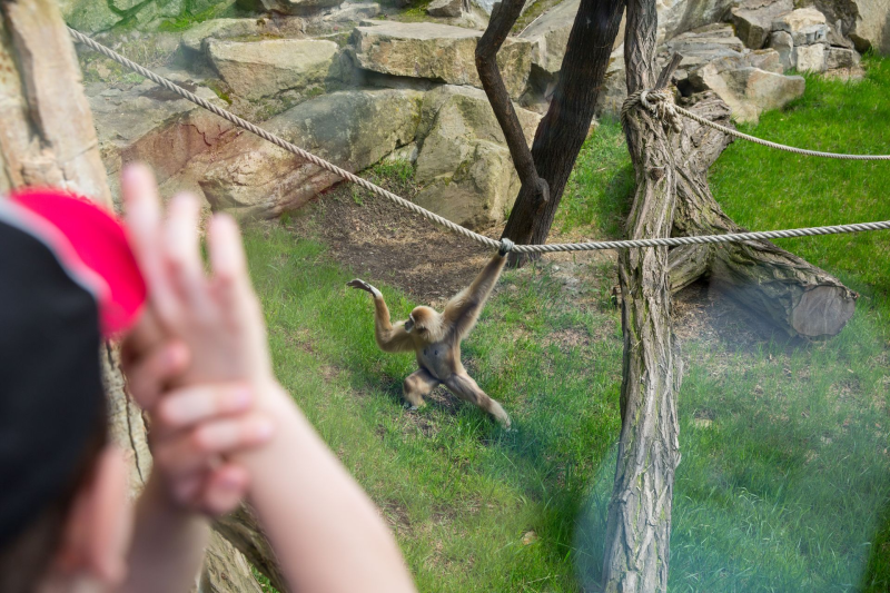 Obrázek epizody Už máme vztahy s AI. James Bridle ukazuje, že je nejvyšší čas navázat je i s inteligentními tvory