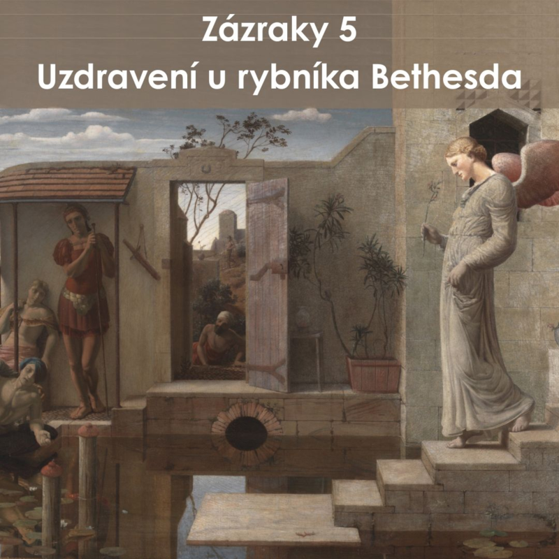 Obrázek epizody 26|01|04| František Brückner | Zázraky 5: Uzdravení u jezera Bethesda