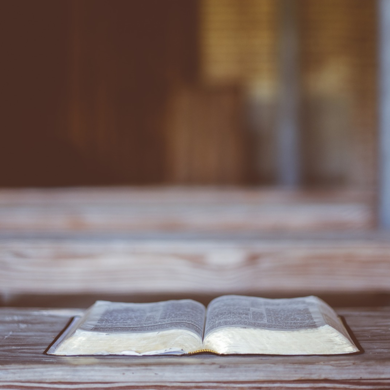 Obrázek epizody 5. Úvod do Bible: Mudroslovná literatura