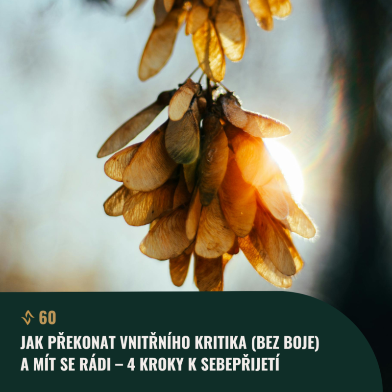Obrázek epizody #60 Jak překonat VNITŘNÍHO KRITIKA (bez boje) a mít se rádi – 4 kroky k sebepřijetí